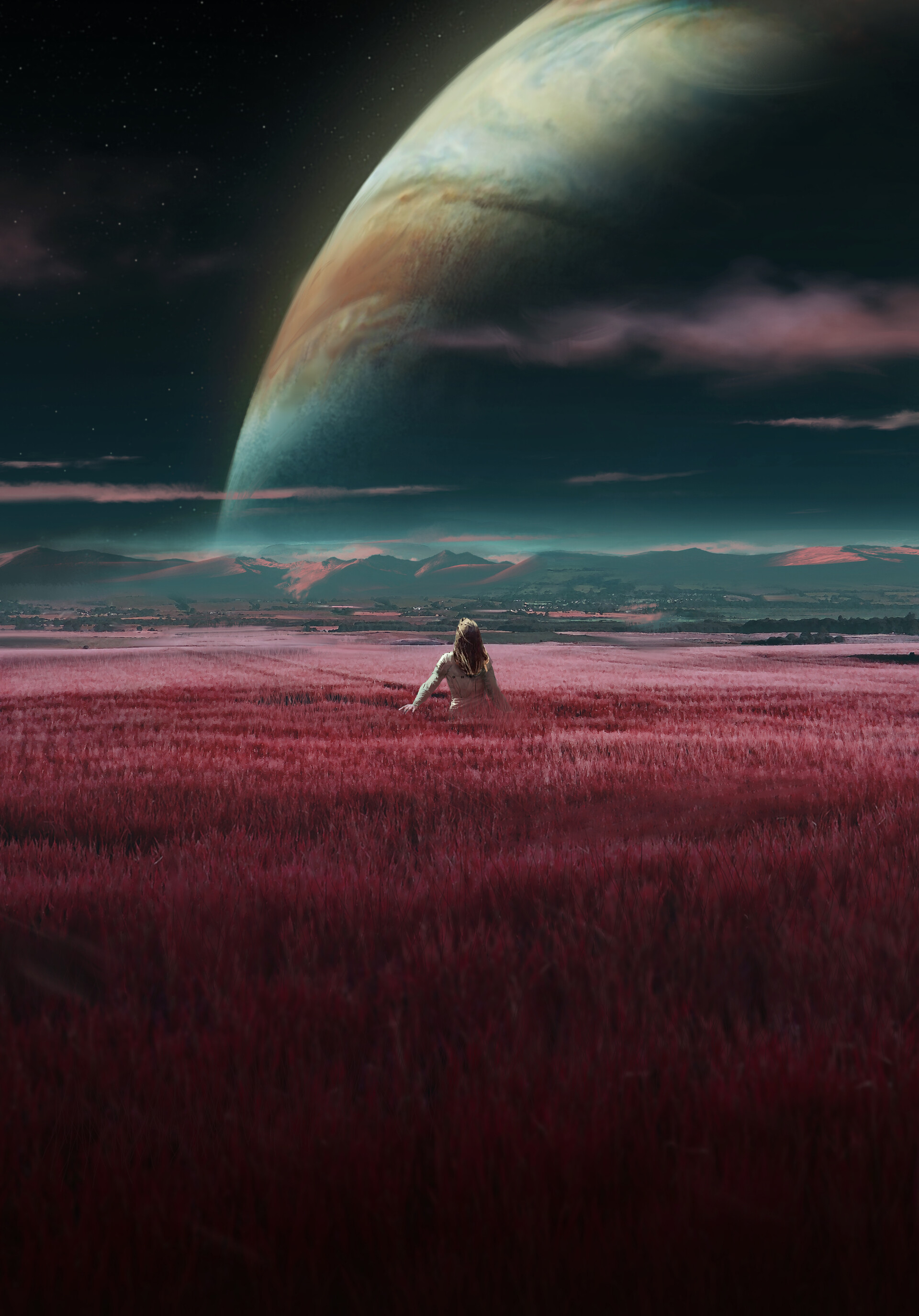 Privacy Banner